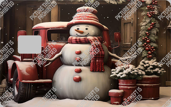 Bank  Card Sticker-BC-2603